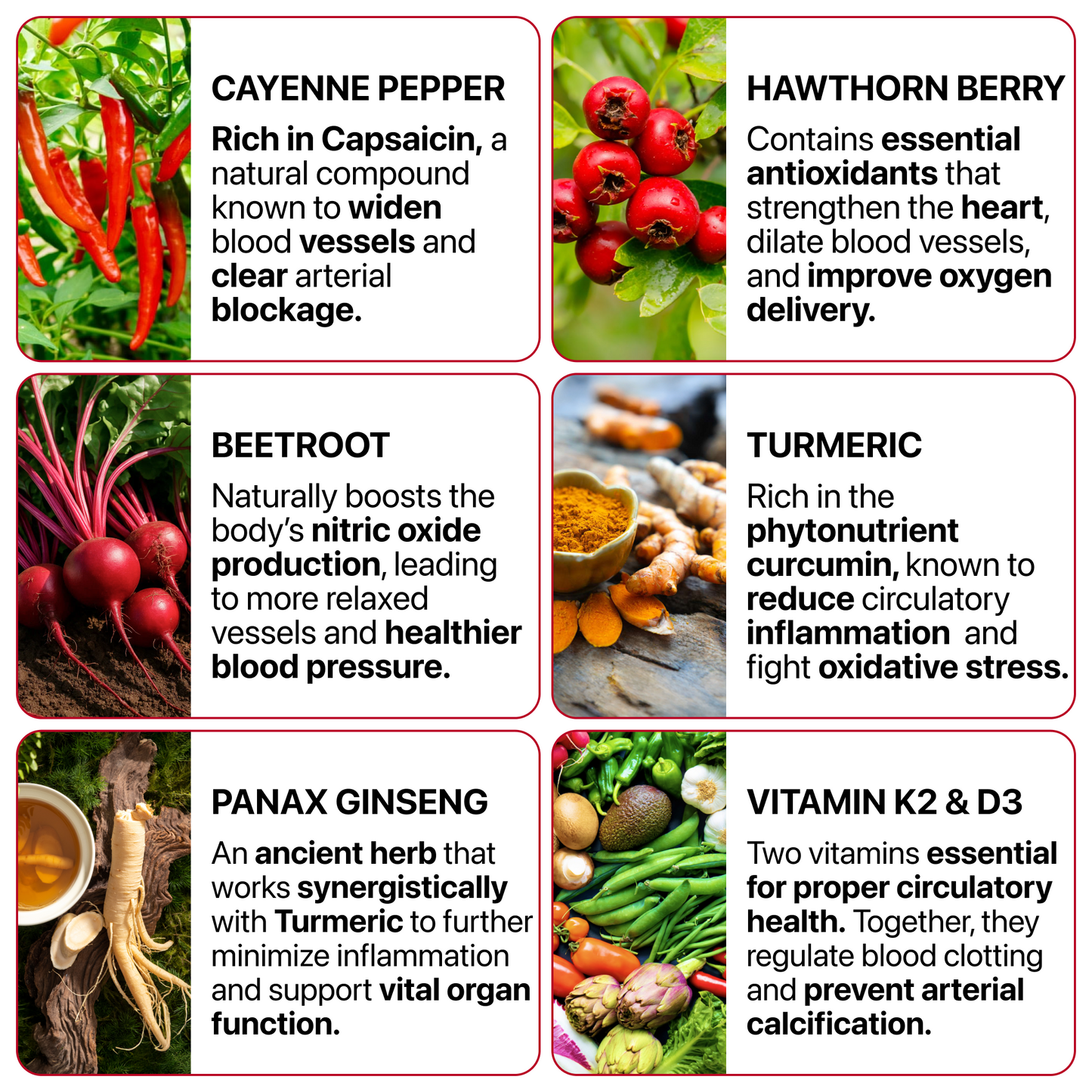 [First Order One-Time Bonus] FREE Circulation Max™