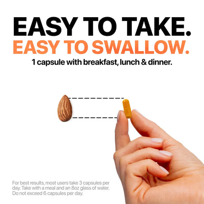 [ONE-TIME OFFER] Buy One, Get TWO FREE