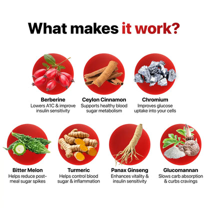 [ONE-TIME OFFER] Six FREE Bottles